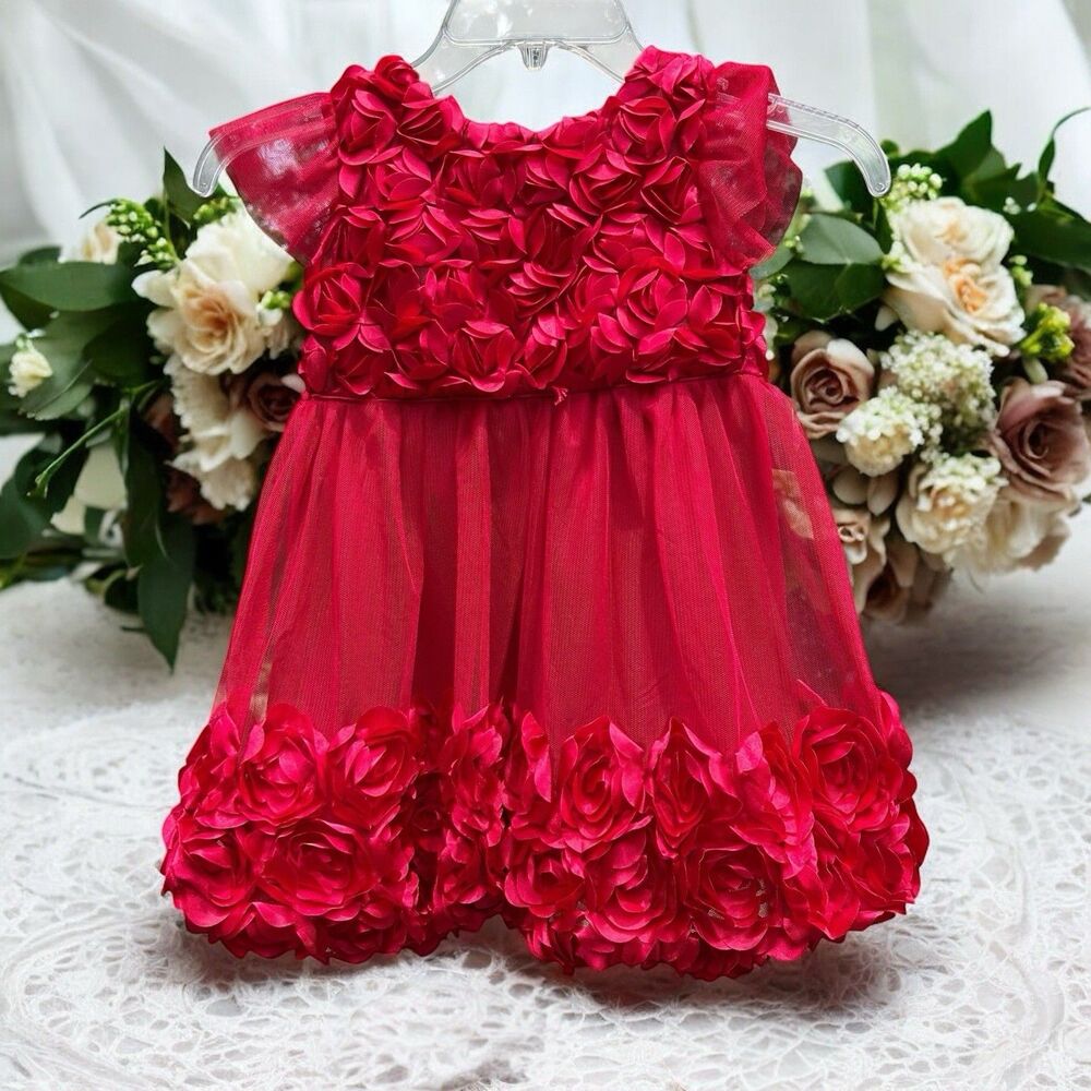 NEW Nanette Formal Party Dress Red Short Sleeve Rose Flower Princess Tulle - 4T